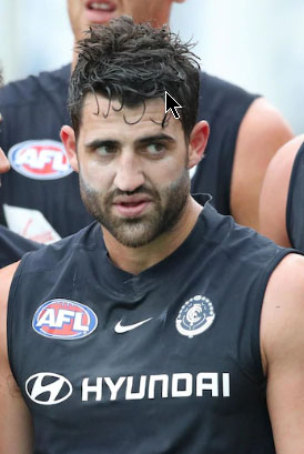 fasolo